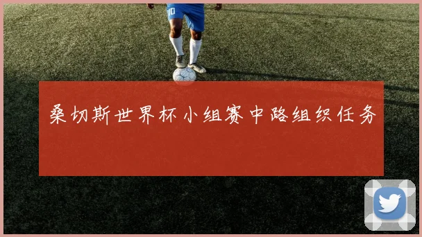 桑切斯世界杯小组赛中路组织任务