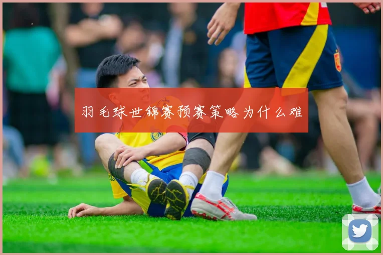 羽毛球世锦赛预赛策略为什么难