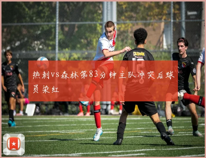 热刺vs森林第83分钟主队冲突后球员染红